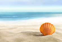 波兰队大胜克罗地亚：乌克兰队遗憾离场