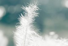 恒大轻取华夏幸福，继续在积分榜上领跑